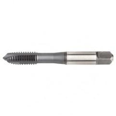 VTSPO5617 M4X0 7 D4 3FL SP PLUGHSS- - Americas Industrial Supply