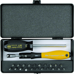 ESD TorqueVario-S Handle 15-80 in oz Micro Bit 24 Piece Set In Storage Box - Americas Industrial Supply