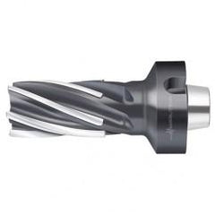 F1682.N8.050.Z06.80.P - Americas Industrial Supply