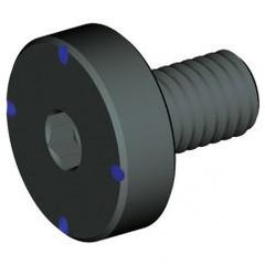 KLSSH20 COOLANT LOCK SCREW - Americas Industrial Supply