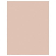 8 1/2 in × 11 in 3M™ Lapping Film 261X Brown Alt Mfg # 14050 - Americas Industrial Supply