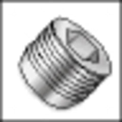 PLG 3/4PTF - Americas Industrial Supply