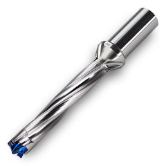 FD1700085S7R01