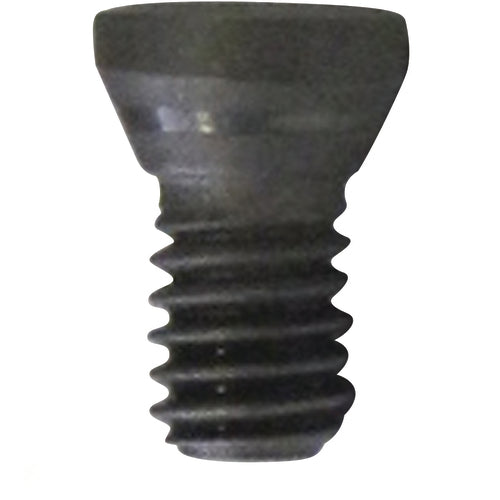 TX25 - Insert Screw - Americas Industrial Supply
